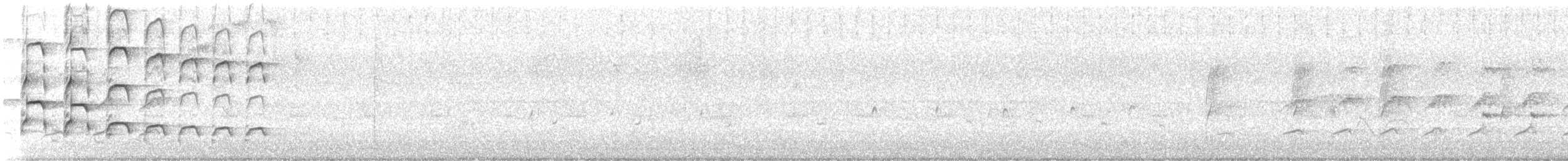 Common Black Hawk - ML645463972