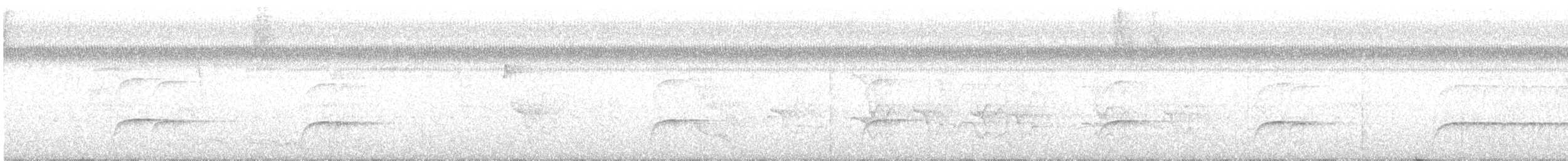 leskovec neotropický - ML645464076