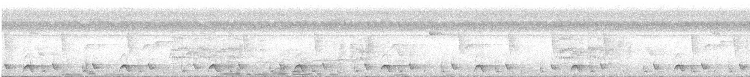 střízlík kolumbijský - ML645464136