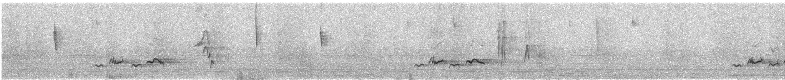 Chiguanco Thrush - ML645464698