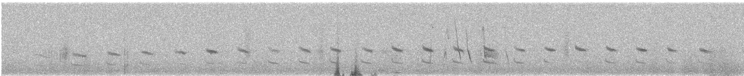 Ancash Tapaculo - ML645464794