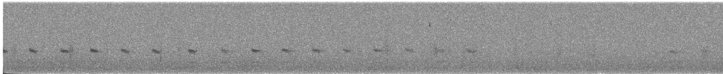 Ancash Tapaculo - ML645464798