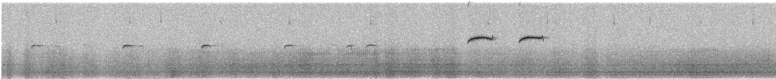 Giant Hummingbird - ML645464865