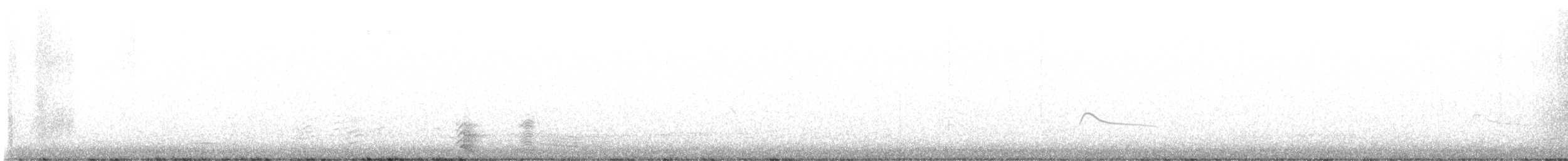 Say's Phoebe - ML645464877