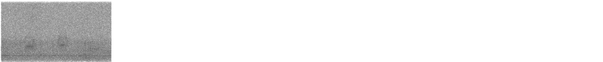 Weißohrkotinga - ML645464971