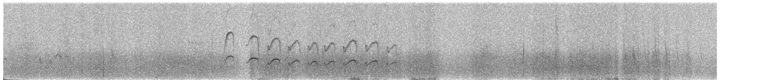 Anairetes, unbestimmt - ML645464977