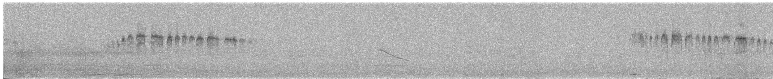 Andensegler - ML645465232