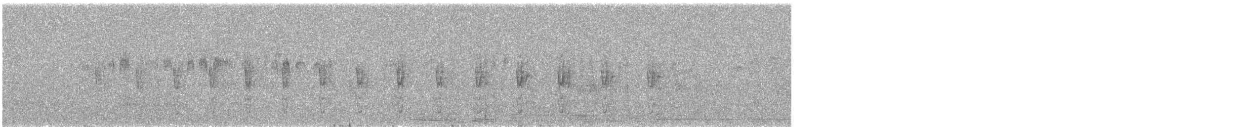 Peruzwergkauz - ML645465271