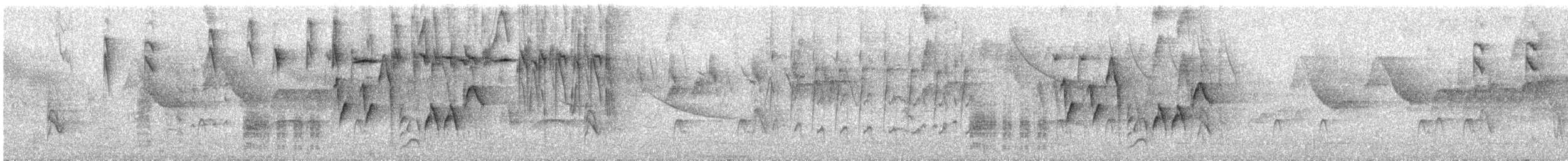 Maskenhakenschnabel - ML645465471