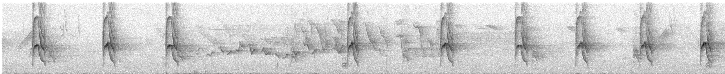 Braunbart-Maskentyrann - ML645465498