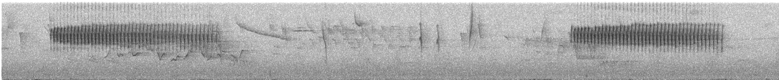 Schieferhakenschnabel - ML645465531