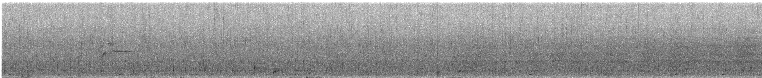 Graurücken-Musendrossel - ML645465542