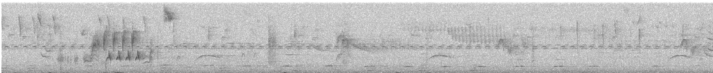 Southern House Wren - ML645465579