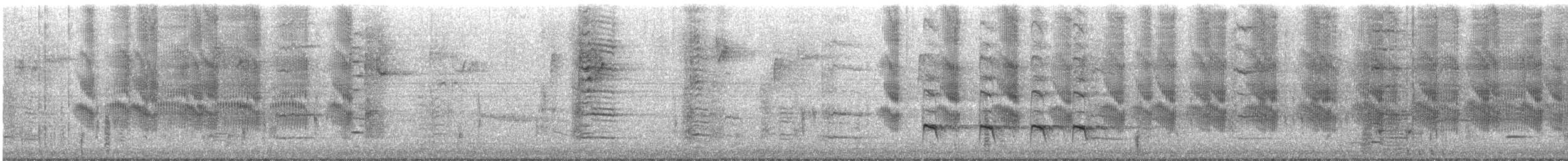 Bootschwanzgrackel - ML645465696