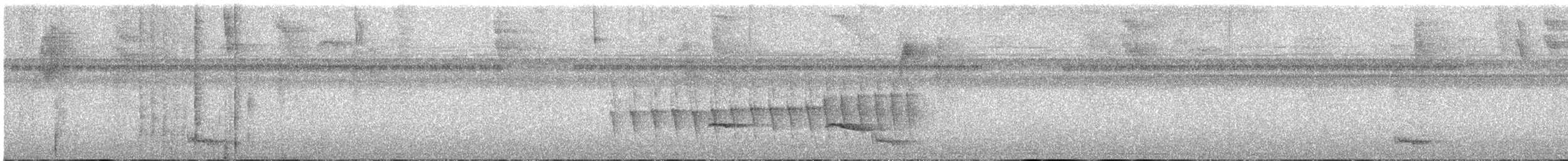 Chocó-Strichelameisenschlüpfer - ML645465763