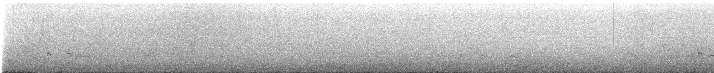 Flötenregenpfeifer - ML645465847