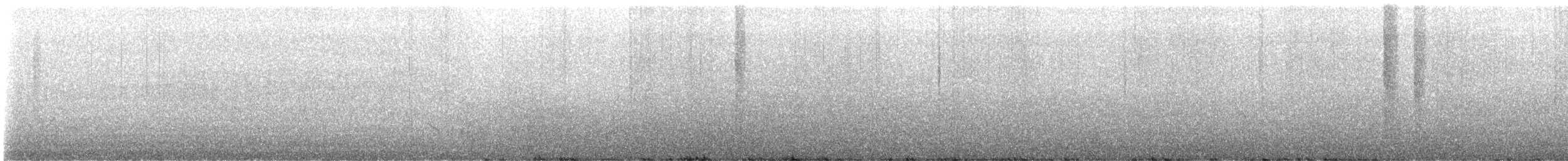 Flötenregenpfeifer - ML645465848