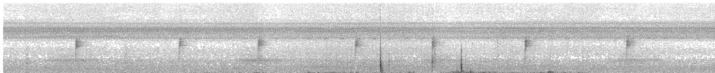 Смугастоволець річковий - ML645465958