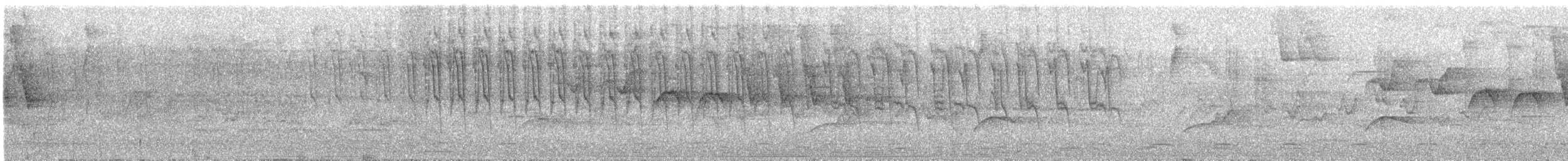 bird sp. - ML645466315