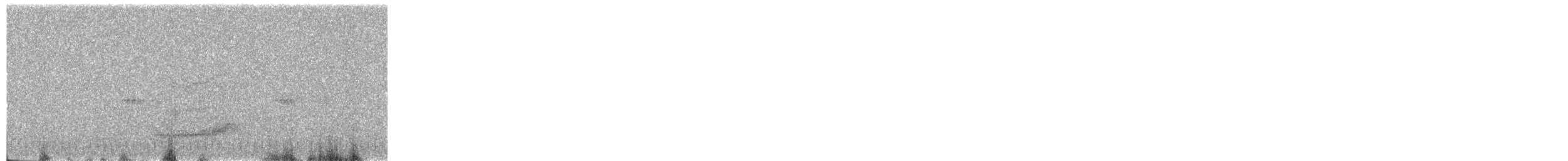 American Barn Owl - ML645467026