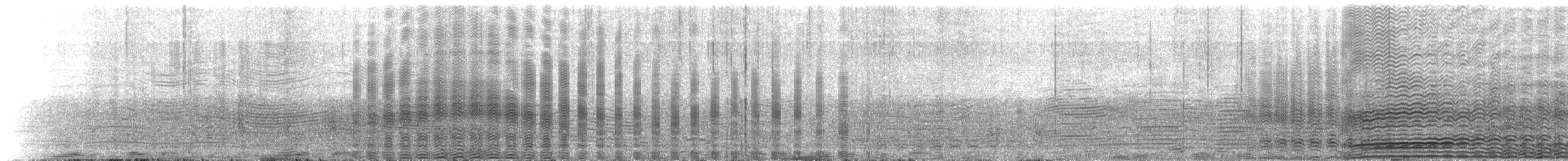 Black-browed Albatross (Black-browed) - ML645467218