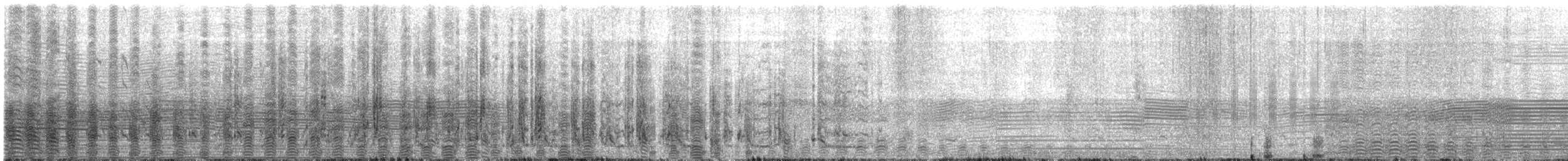 Black-browed Albatross (Black-browed) - ML645467219