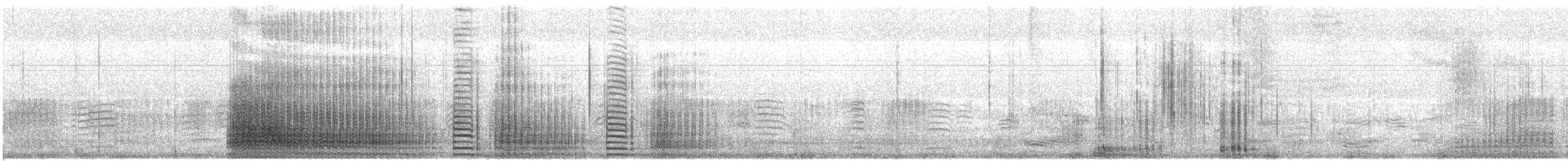 Gentoo Penguin - ML645467226