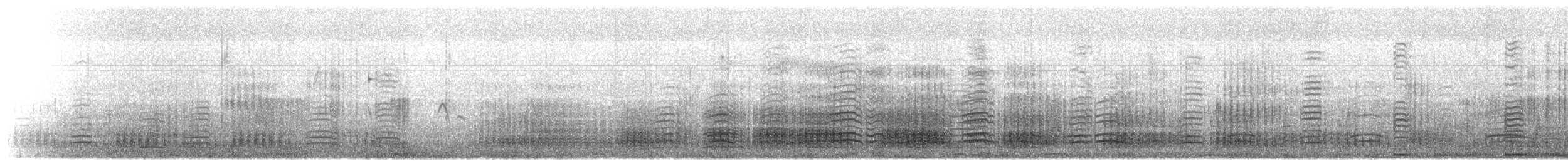 Gentoo Penguin - ML645467227