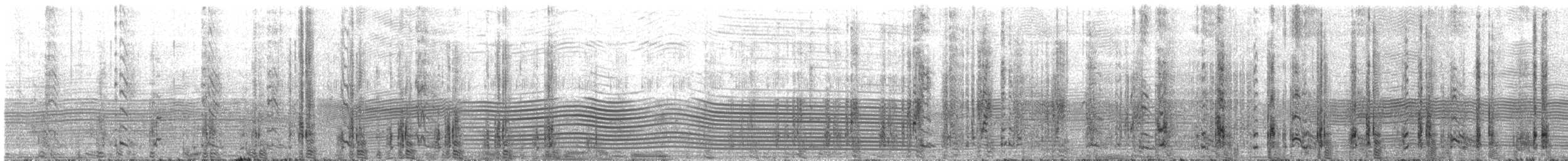 Western Rockhopper Penguin - ML645467240