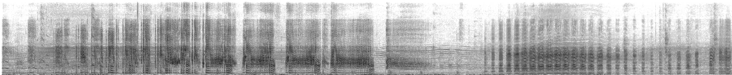 Western Rockhopper Penguin - ML645467241