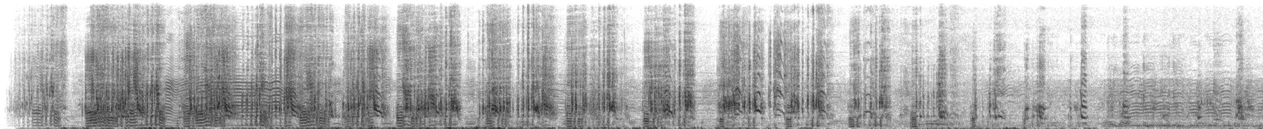 Western Rockhopper Penguin - ML645467242