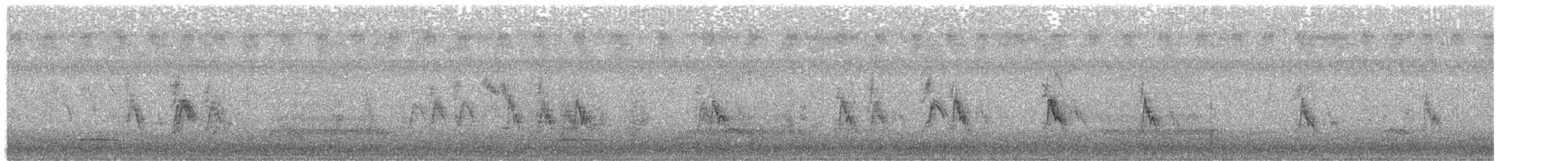 House Sparrow - ML645467370