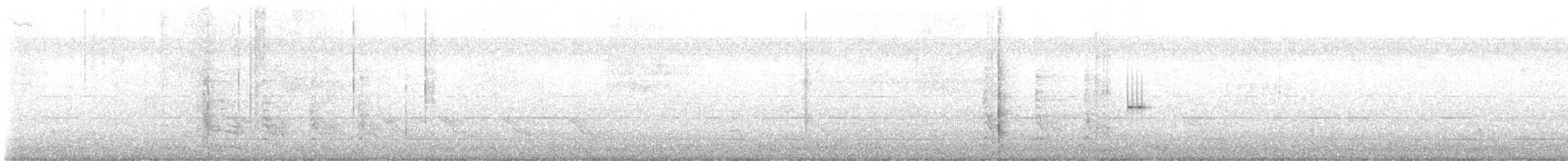 Red-bellied Woodpecker - ML645467478