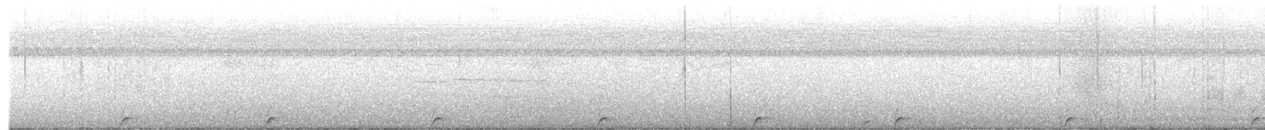 Common Pauraque - ML645467504