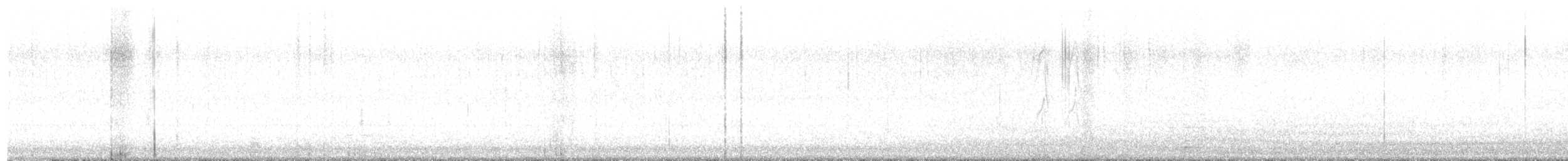 American Robin - ML645467756