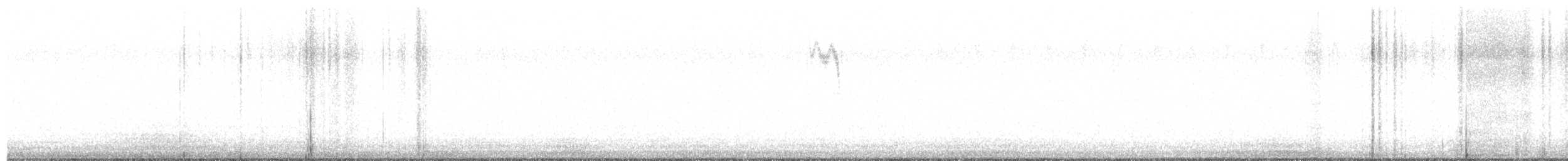 American Robin - ML645467757