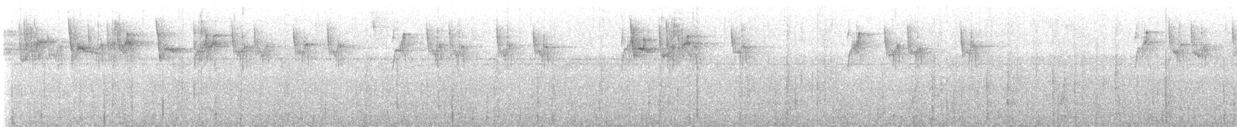 Разноцветная амазилия - ML645468103