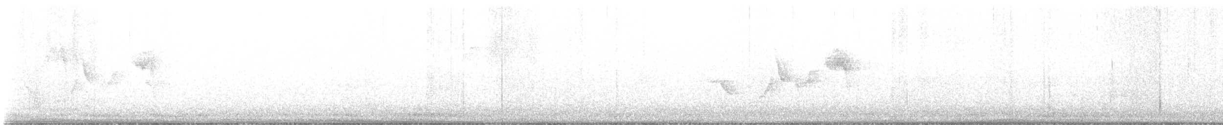 Пестрогрудая овсянка - ML645468365