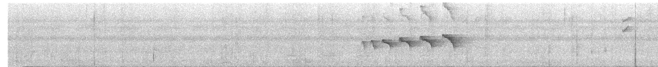 Black-throated Antbird - ML645469325