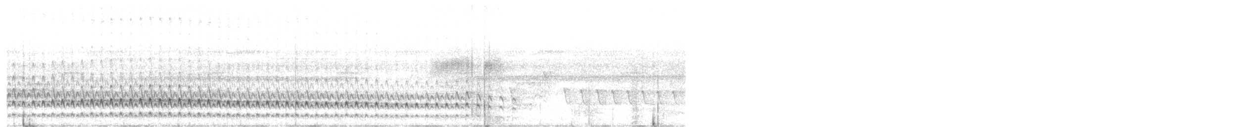 Black-banded Crake - ML645470510