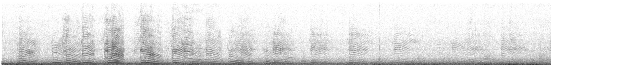 Chilean Skua - ML645470900