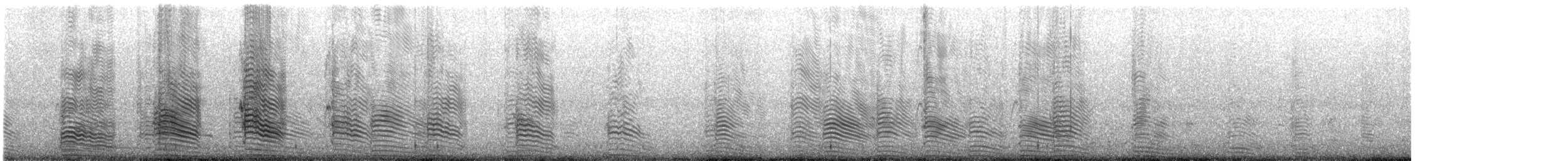 Chilean Skua - ML645470922
