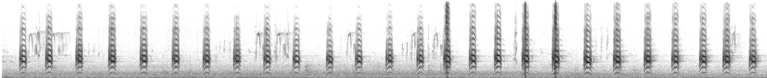 Black-necked Stilt (White-backed) - ML645471588