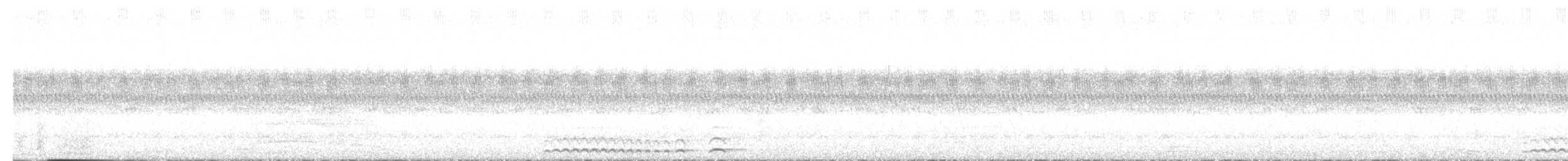 Tropical Screech-Owl - ML645471594