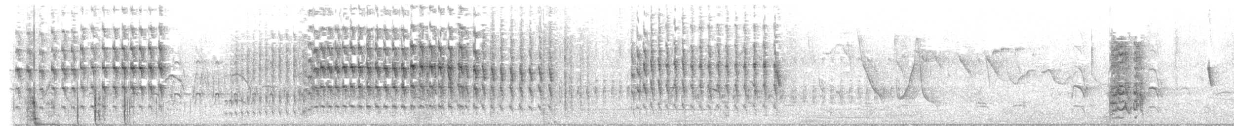 Guira Cuckoo - ML645472417