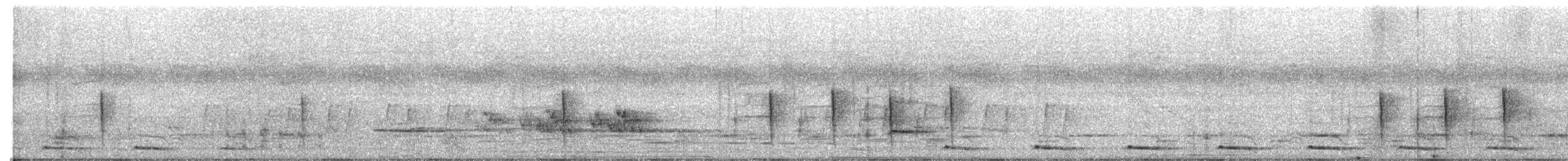 African Barred Owlet - ML645472434