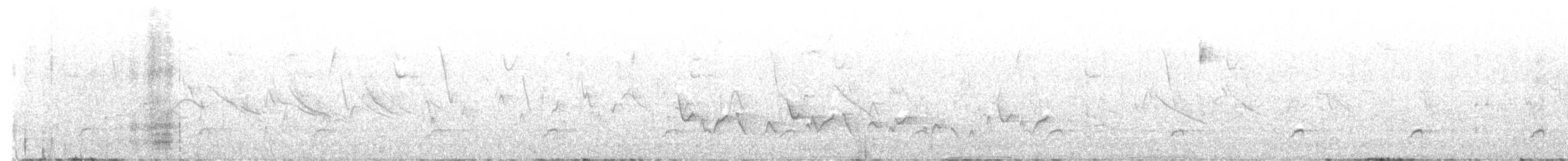 Common Squirrel-Cuckoo - ML645472547