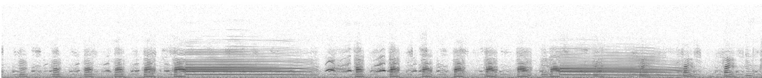 Magellanic Penguin - ML645472926