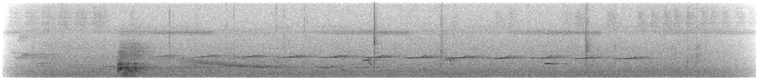 Australian Ibis - ML645474300