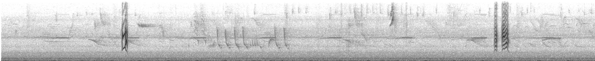 Chestnut-bellied Seed-Finch - ML645474337